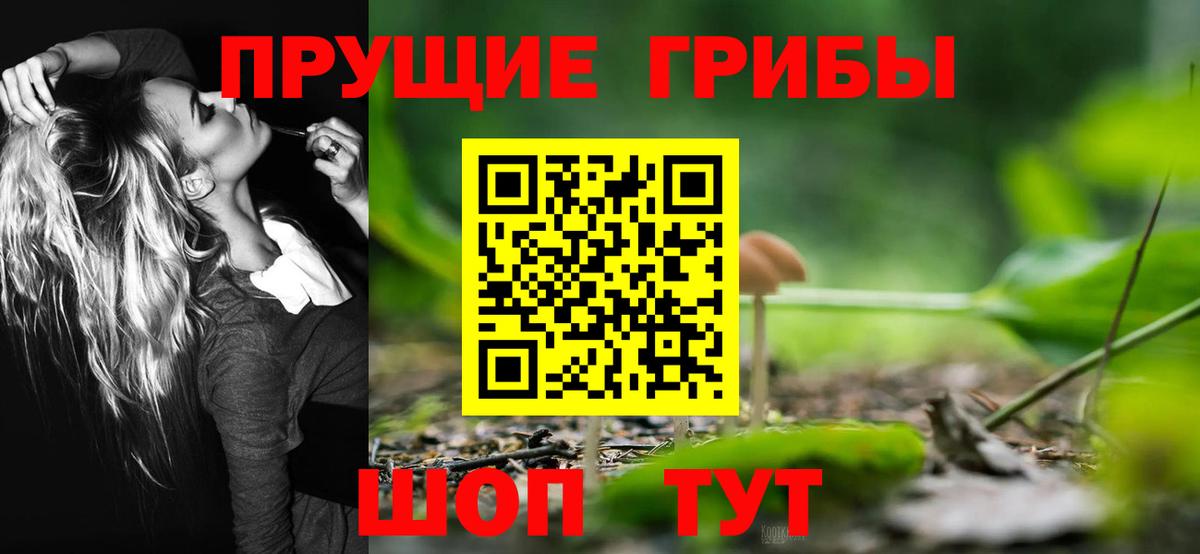 Псилоцибиновые грибы MAGIC MUSHROOMS Свободный